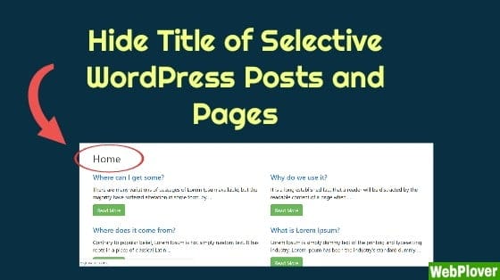 How to Hide Title from a Post or Page in WordPress
