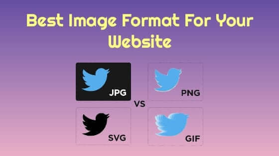 best image format for web - WebPlover